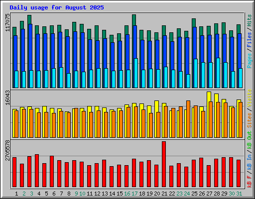 Daily usage for August 2025