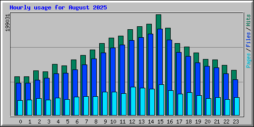 Hourly usage for August 2025