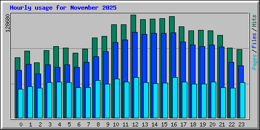 Hourly usage for November 2025