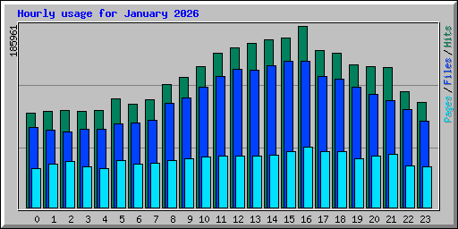 Hourly usage for January 2026