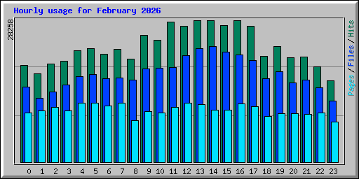 Hourly usage for February 2026